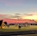 A sports field with a football game unfolding under a vibrant sunset sky, featuring a large inflatable mascot and a scoreboard displaying the score. Players and coaches are visible on the green field, surrounded by a track and some flags waving in the breeze.
